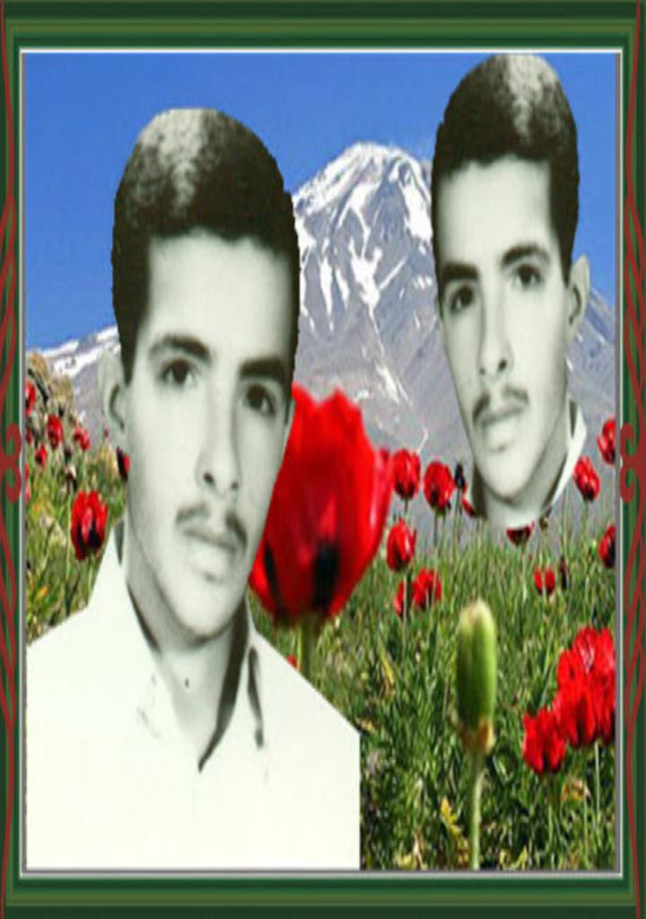 فاقد تصویر
